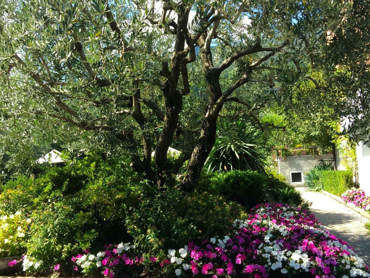 Regina Lago Di Como Dongo Eksteriør bilde